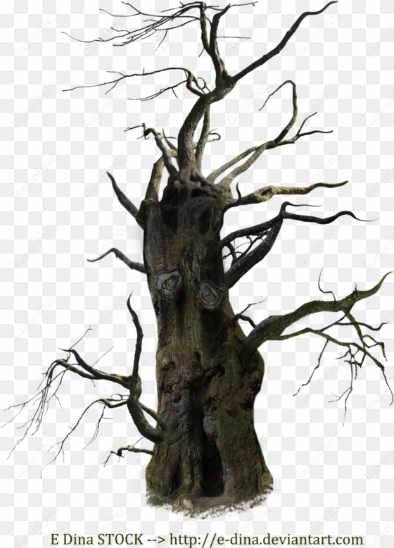old tree png free download - old dead tree png