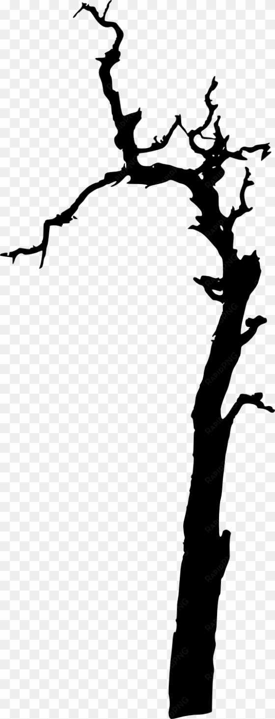 old tree silhouette at getdrawings - portable network graphics