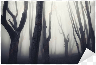 old twisted trees in a spooky dark forest sticker • - forest