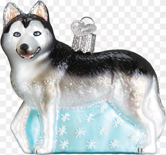 old world christmas siberian husky dog glass blown - husky ornament