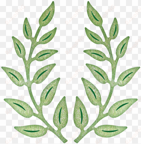 olive branch - cheery lynn designs b147 olive branches die cut