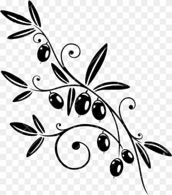 olive branch - olive branch vector png clipart