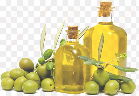 olive oil free png image - ancient greek olive oil png