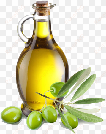 olive oil png - olive oil bottle png