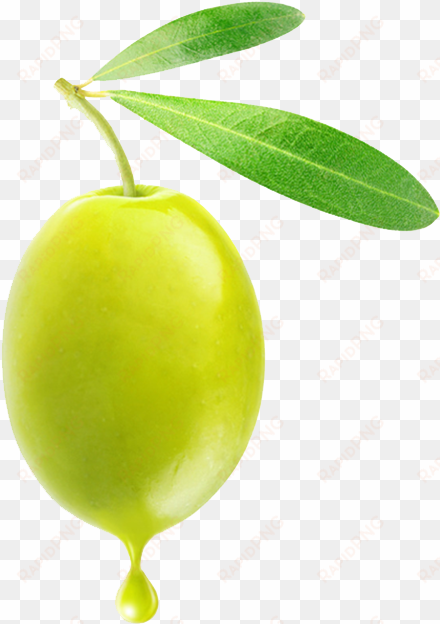 olive png - png olive