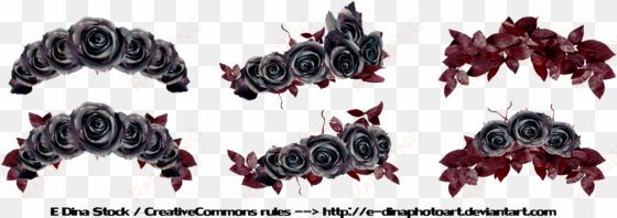 on the desktop backgrounds, bulk purple roses, pix - dead flower crown png