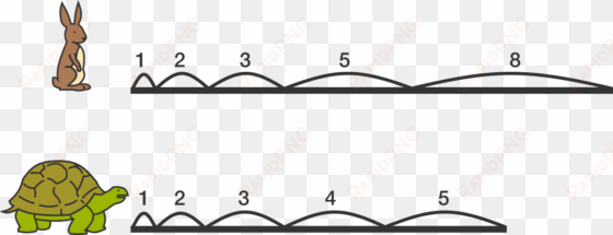 once upon a time, a rabbit and a turtle were competing - pattern fibonacci number fibonacci sequence