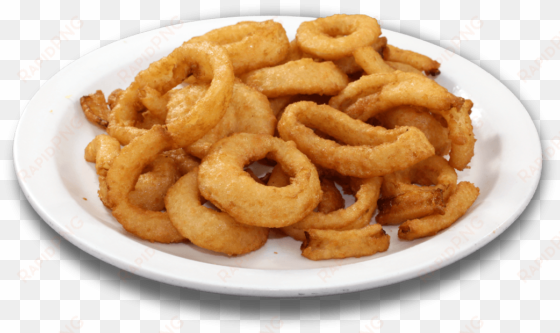 onion rings - onion ring