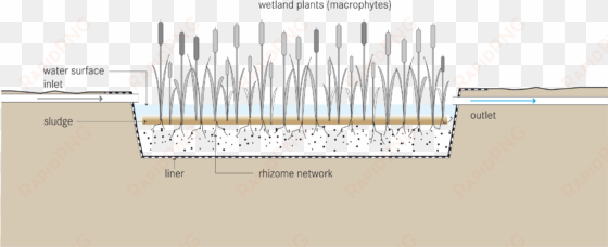 open - surface flow constructed wetlands