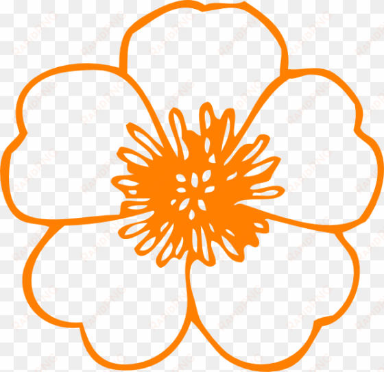 orange buttercup flower clip art - flower clipart black and white outline