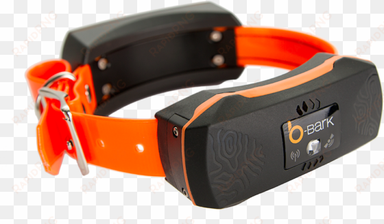 orange collar, white bg, left view, png - tracking collar