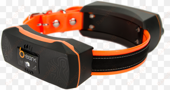 orange collar, white bg, right view, png - b bark