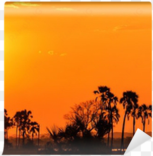 orange glow sunset in a palm trees landscape wall mural - sunset