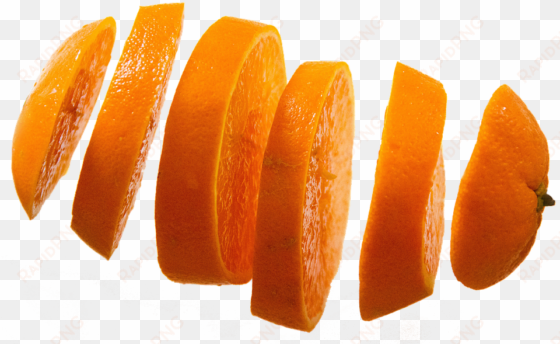 orange png background image - rodajas de naranja png