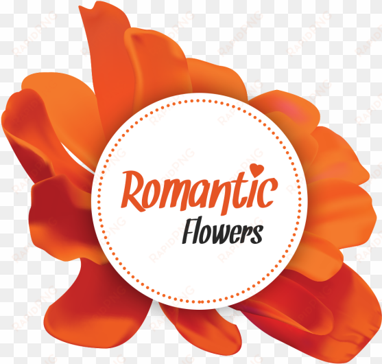orange romantic flowers, romantic flower, tropical - portable network graphics