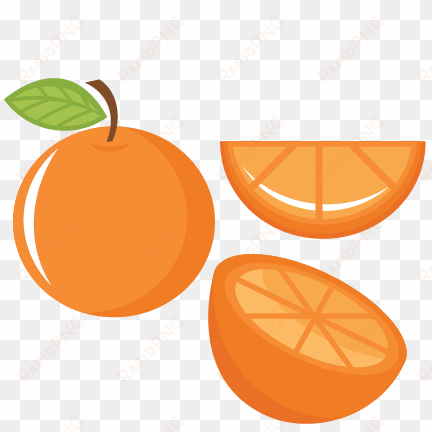 orange set svg cutting files fruit svg cut file food - clip art