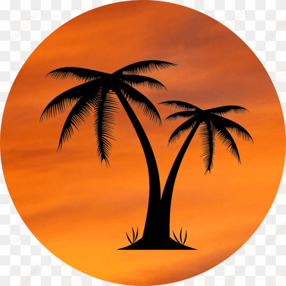 orange sky palm tree design - palm tree logo transparent