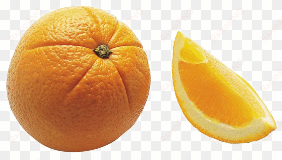 orange slice png photo - color is an orange meme