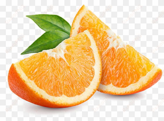 orange slice transparent image - orange slice png