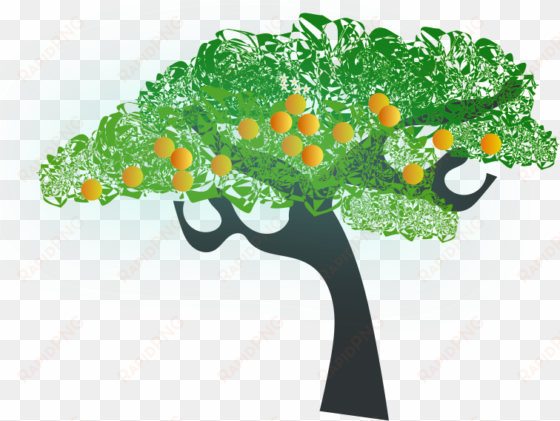 orange tree clip art