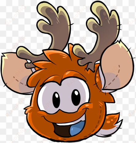 orangepuffle orange reindeer puffle - reindeer puffles