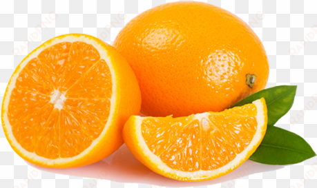 oranges - natrogix bliss top 9 therapeutic grade 100% pure essential
