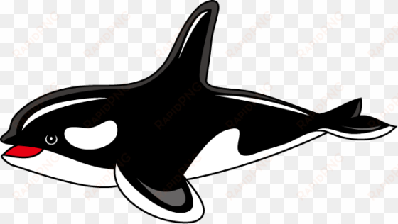 orca clipart transparent - killer whale clipart png