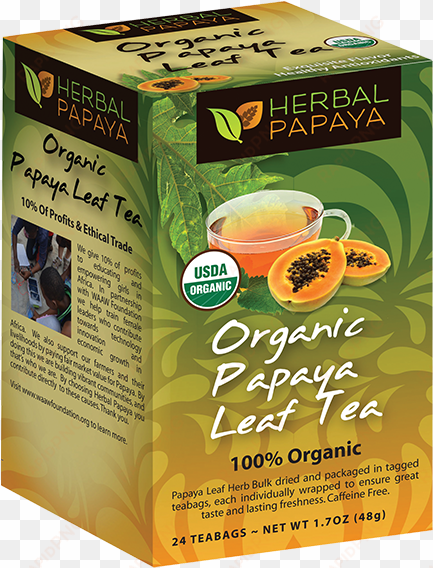 organic papaya tea leaf -24/2g bags - herbal papaya organic papaya leaf tea - rooibos - 24