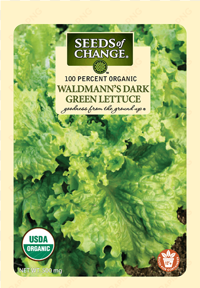 organic waldmann's dark green lettuce seeds - seeds of change garden supply. dark green lettuce walmann's