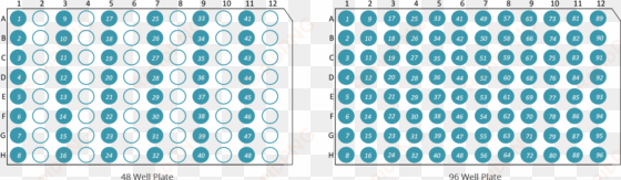 organising 48 and 96 well plates - textile