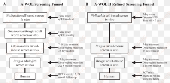 original funnel developed by a•wol - hts funnel screening