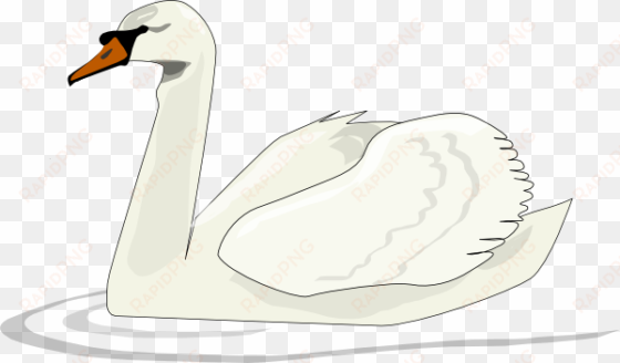 original png clip art file swan swimming svg images