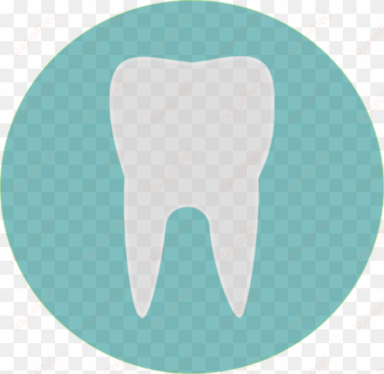 original png clip art file tooth svg images downloading