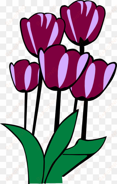 original png clip art file tulips svg images downloading