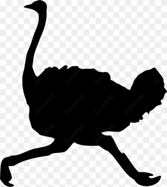 ostrich bird shape running comments - ostrich icon png