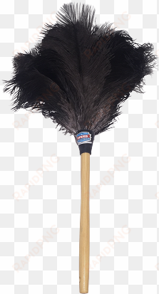 ostrich-down feather duster - duster cleaning