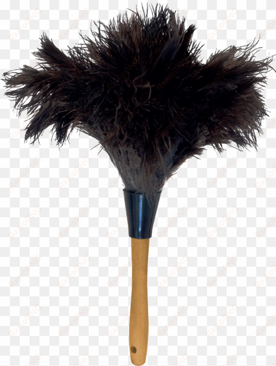 ostrich feather png - feather duster