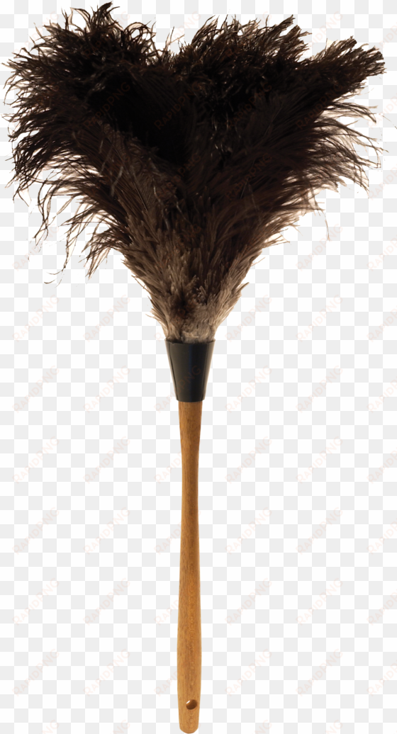 ostrich feather png - ostrich feather duster png