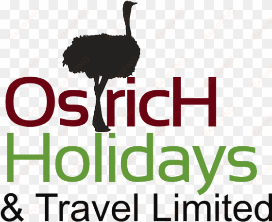 ostrich holidays and travel limited - jd geotechnical services pty ltd