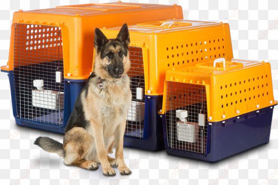 our airline approved travel crates are made for your - jet pets dog crates