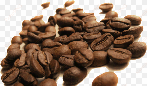 our coffee beans originate from 16 different countries, - sun's tea double wall espresso coffee cups/vodka shot