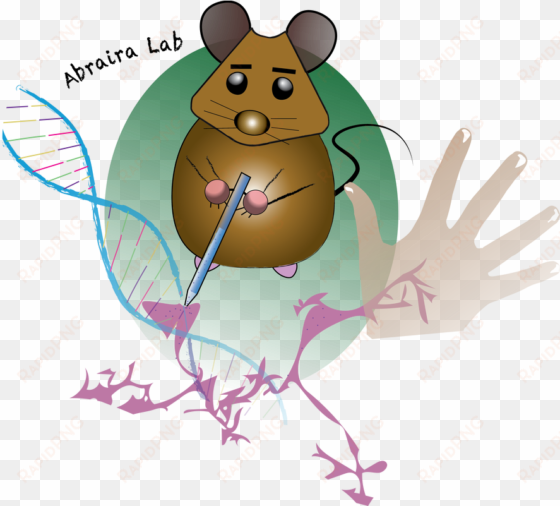 Our Lab Operates Within The W - Illustration transparent png image