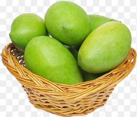 our mangoes taste best when you eat like no one is - green mango with leaf