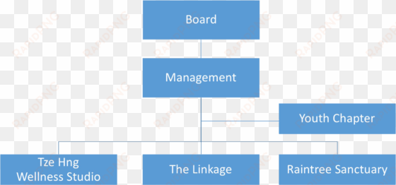 our organisation structure - website