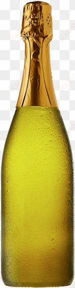 our wine range - champagne bottle no label