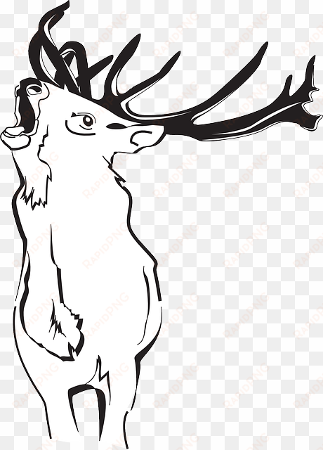 outline, deer, art, forest, loud, animal, antlers - deer