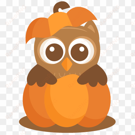 owl in pumpkin svg scrapbook cut file cute clipart - cute pumpkin clipart free