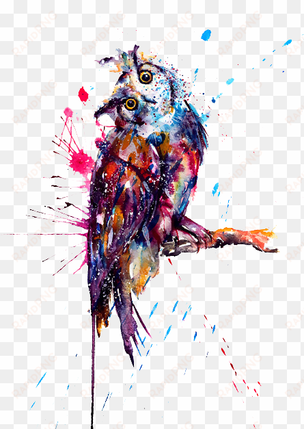 owl tattoo watercolor painting image freeuse stock - owl tattoos transparent background