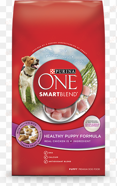 pack healthy puppy formula - purina one smartblend healthy puppy formula dry dog