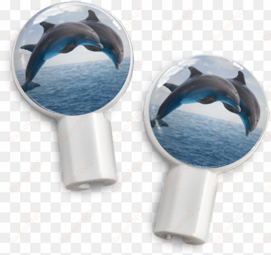 pair of apple earbud covers - dolphins: voices in the ocean by susan casey